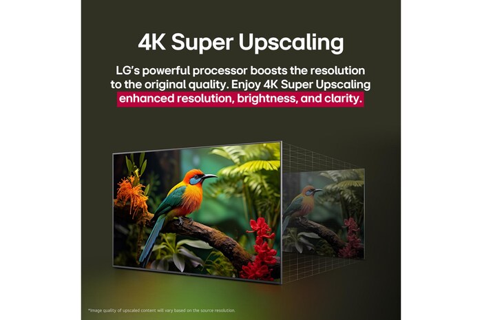Comparación de antes y después de cómo el superescalado 4K de LG mejora la calidad de la imagen. Dos paneles muestran la misma imagen de un pájaro colorido posado en una rama en el bosque, el panel de la derecha está difuminado. El título habla de cómo el superescalado 4K mejora la resolución, el brillo y la claridad.