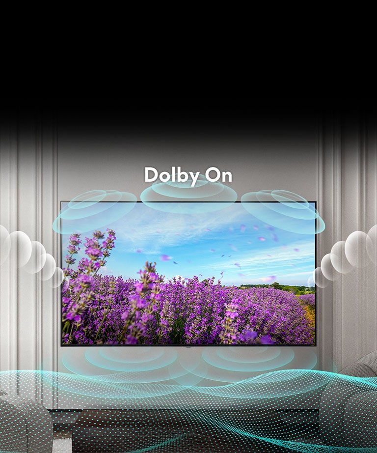 La pantalla del televisor5 QNED muestra unas flores rosadas de colza en un campo en verano y el texto en el medio que dice Dolby OFF. La imagen en pantalla se vuelve más brillante y el texto cambia a Dolby ON.