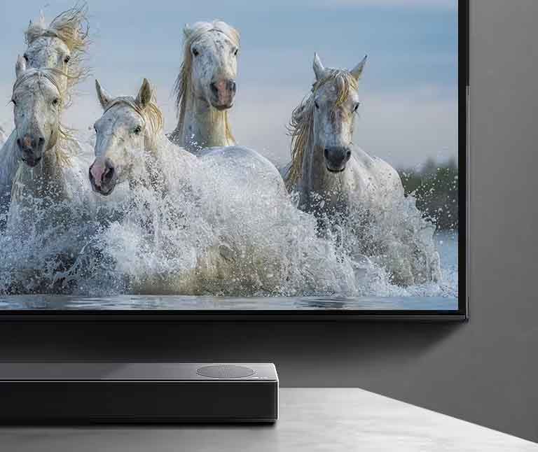 La mitad de la pantalla inferior y la mitad de la barra de sonido. El televisor muestra caballos blancos corriendo sobre el agua. 