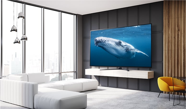 En una sala hay un televisor con pantalla grande que muestra la imagen de una gran ballena en el mar.