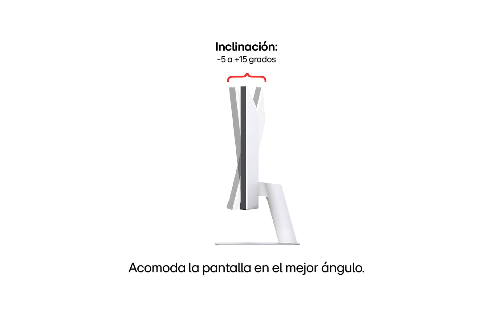 Vista trasera