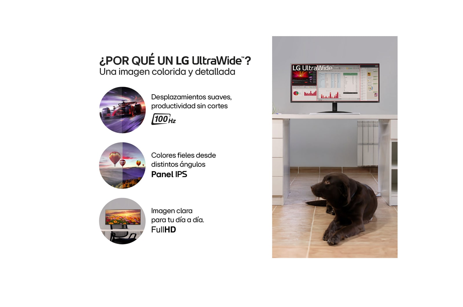 LG Monitor IPS FHD de 29 Pulgadas UltraWide con Multitasking y HDR 10, 29WQ600-W