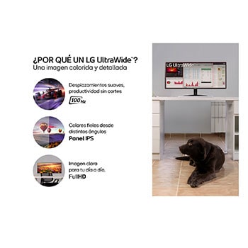 LG Monitor IPS FHD de 29 Pulgadas UltraWide con Multitasking y HDR 10, 29WQ600-W