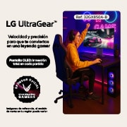 Información LG UltraGear