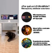 Por que un monitor LG UltraWide Dual 