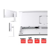 Entradas monitor LG UltraWide Dual 
