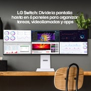 monitor LG UltraWide Dual 