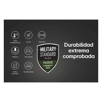 left perspective view