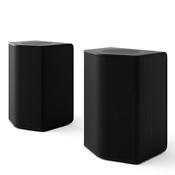 Angled view of Rear Speakers