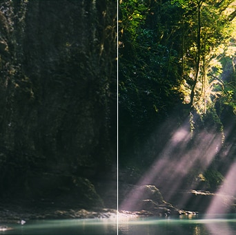 El LG QNED evo AI QNED85 Mini LED resalta Mini LED with Precision Dimming en una escena de bosque dividida, comparando el LED convencional con negros más profundos y contraste más refinado mientras la luz del sol se filtra entre los árboles para mayor claridad y profundidad.