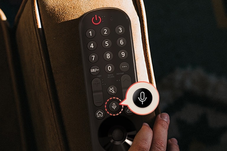 Hay un botón con un dibujo de un ícono de micrófono y este botón es el botón de operación de reconocimiento de voz.