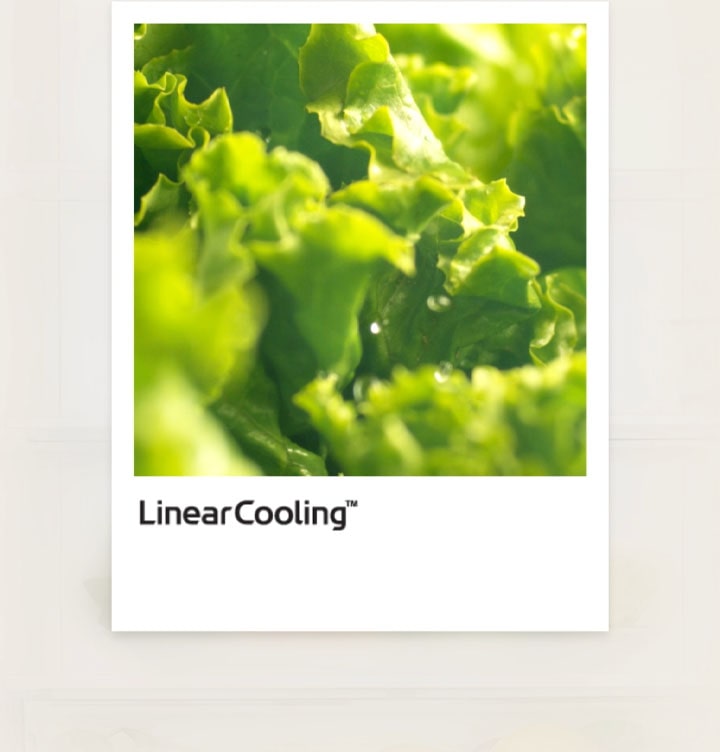 Graf linear cooling s čerstvou zeleninou v blízkosti, který ukazuje kolísání teploty v rozmezí ±0,5 ℃ pro zachování čerstvosti potravin.