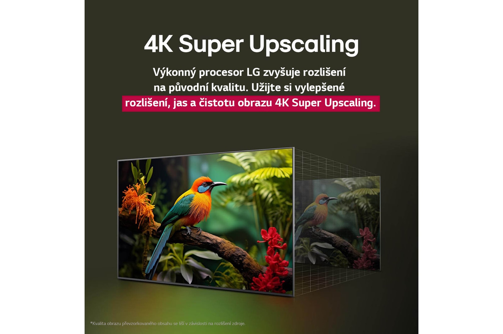 Before and after comparison of how LG 4K Super Upscaling improves image quality. Two panels showing the same image of a colorful bird sitting on a branch in a forest, panel on the right is faded out. The title talks about how 4K Super Upscaling enhances resolution, brightness and clarity. 