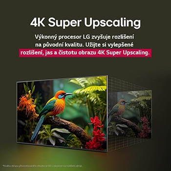 Before and after comparison of how LG 4K Super Upscaling improves image quality. Two panels showing the same image of a colorful bird sitting on a branch in a forest, panel on the right is faded out. The title talks about how 4K Super Upscaling enhances resolution, brightness and clarity. 