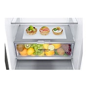 LG E | Hrubý objem 374 l | 273 kWh/rok | LG Lineární invertorový kompresor | LG Total No Frost | DoorCooling+™ | Vnější LED displej | ThinQ™ + WiFi, GBB71PZDZN