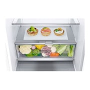 LG E | Hrubý objem 374 l | 273 kWh/rok | LG Lineární invertorový kompresor | LG Total No Frost | DoorCooling+™ | Vnější LED displej | ThinQ™ + WiFi, GBB71SWDZN