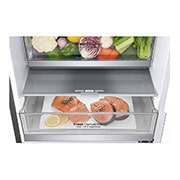 LG E | Hrubý objem 419 l | 288 kWh/rok | LG Lineární invertorový kompresor | LG Total No Frost | DoorCooling+™ | Vnější LED displej | ThinQ™ + WiFi, GBB72PZDZN