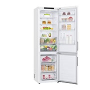 LG Kombinovaná chladnička LG | B | 384 l | Lineární kompresor | DoorCooling+™|Bílá, GBP62SWNBC
