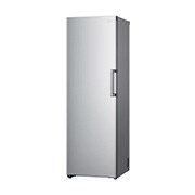 LG Mraznička LG | E | 324 l | Total No Frost | Multi Air Flow™|Stříbrná, GFT41PZGSZ