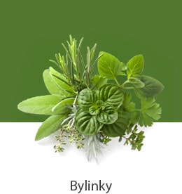REF-NatureFRESH-Next8-03-UsefulTips-04-6-Herbs