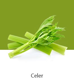 REF-NatureFRESH-Next8-03-UsefulTips-04-7-Celery