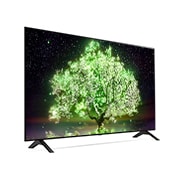 LG 48" LG OLED TV, webOS Smart TV, OLED48A13LA