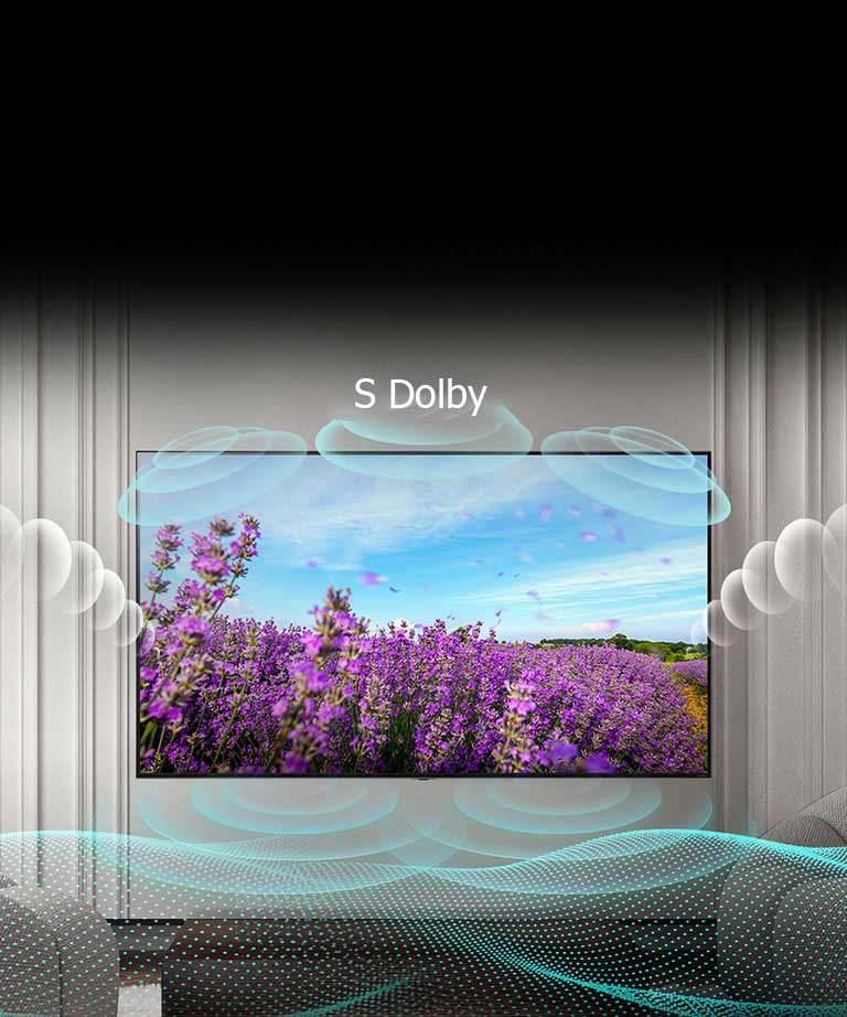 Na obrazovce televizoru QNED vidíme růžové květy na louce s textem Bez Dolby uprostřed. Obrázek na obrazovce se rozzáří a text se změní na s Dolby.