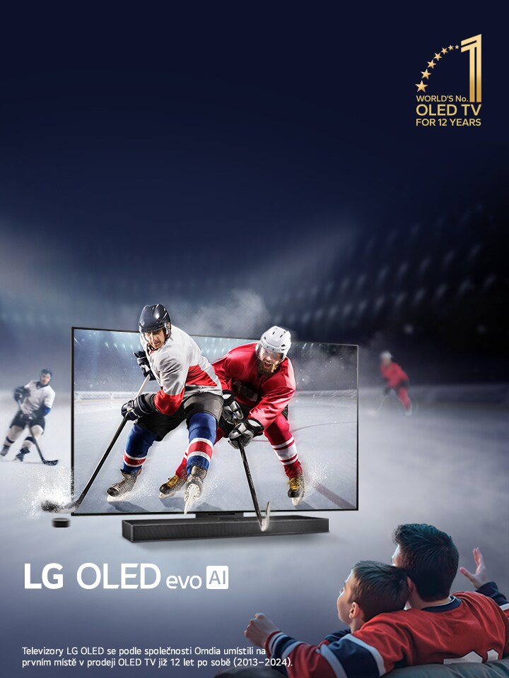 Ice hockey championship