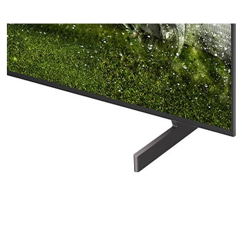 LG OLED AI B6E zobrazuje rozdělenou obrazovku, na které je možné porovnat matný displej s antireflexní úpravou a displej Perfect Black, který zajišťuje jasnější obraz za jakýchkoli světelných podmínek. Technologie Perfect Black má certifikaci UL.