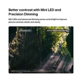 LG QNED evo AI QNED87/86/85 Mini LED vyzdvihuje výhody technologie Mini LED s funkcí Precision Dimming na příkladu rozdělené lesní scény, kde se porovnává konvenční LED s hlubšími černými tóny a jemnějším kontrastem, když sluneční světlo prosvítá skrz stromy a dodává scéně větší čistotu a hloubku.