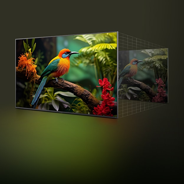 Vergleich der Bildqualität mit und ohne LG 4K Super Upscaling. Zwei Panel zeigen dasselbe Bild eines bunten Vogels, der auf einem Ast in einem Wald sitzt, das Panel auf der rechten Seite ist verblasst.