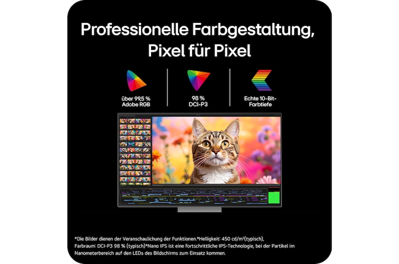 Rückansicht mit zerlegtem Ständer