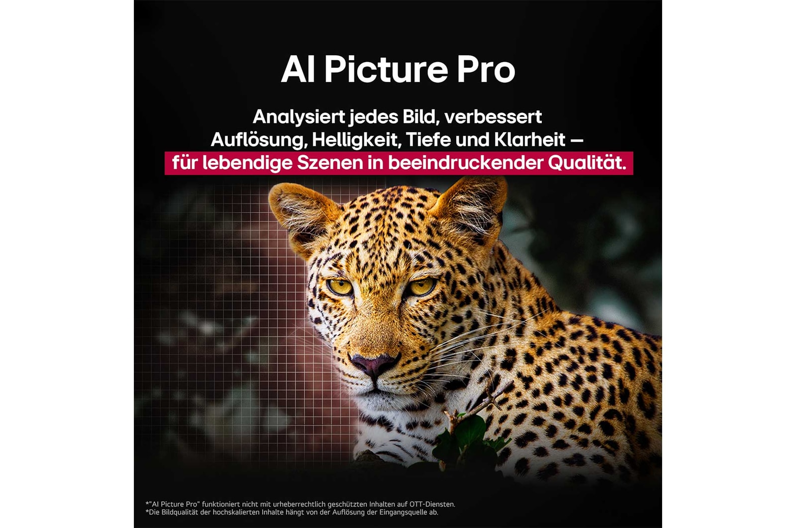 Leopard im Wald in leuchtenden Farben und Details. Neben dem Leopard ist ein Gitternetz zu sehen. Hinter ihm leuchtet ein Licht. Das Bild zeigt, wie LG AI Picture Pro die Auflösung, Helligkeit, Tiefe und Klarheit der Szene eindrucksvoll verbessert hat.