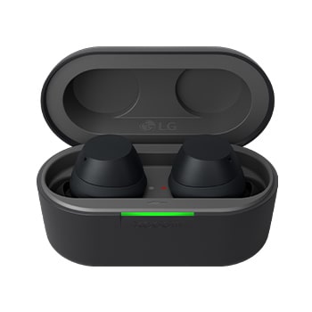 Frontansicht des Etuis mit Ohrhörern im Inneren