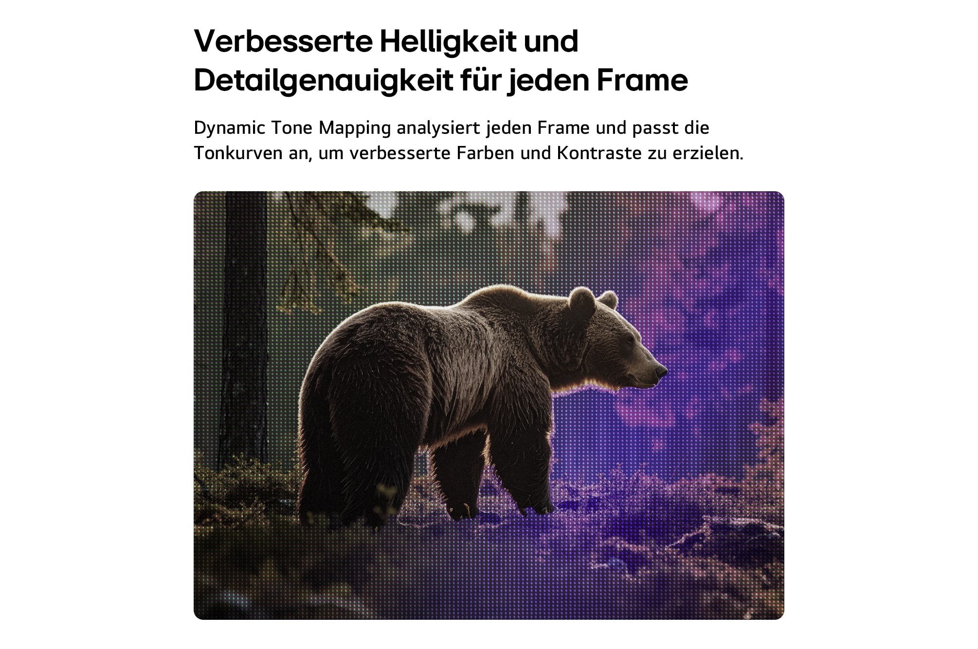 Das LG SMART TV AI LB65 FHD TV mit Dynamic Tone Mapping optimiert eine Szene mit einem Bären im Wald, indem es die Tonwertkurven Frame für Frame analysiert und so reichhaltigere Texturen mit verbessertem Farbkontrast und höherer visueller Klarheit liefert.