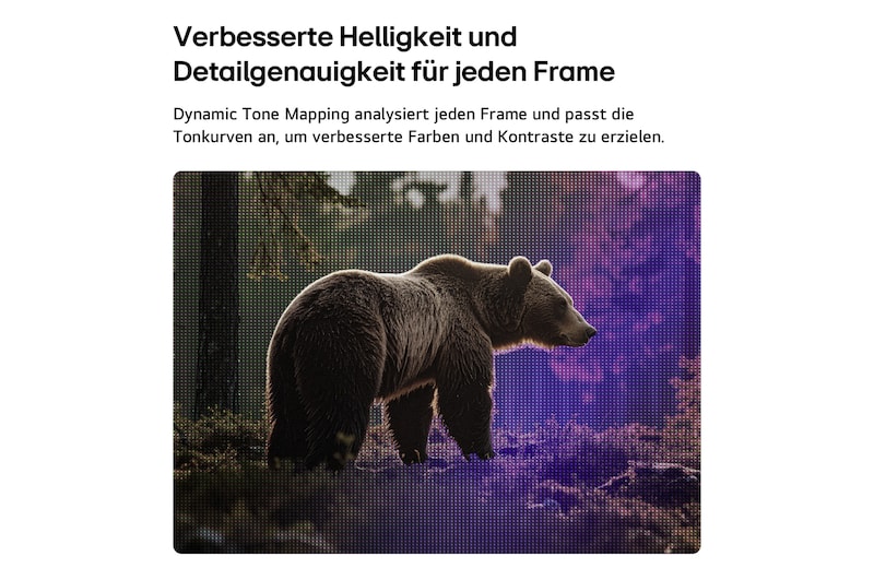 Das LG SMART TV AI LB65 FHD TV mit Dynamic Tone Mapping optimiert eine Szene mit einem Bären im Wald, indem es die Tonwertkurven Frame für Frame analysiert und so reichhaltigere Texturen mit verbessertem Farbkontrast und höherer visueller Klarheit liefert.