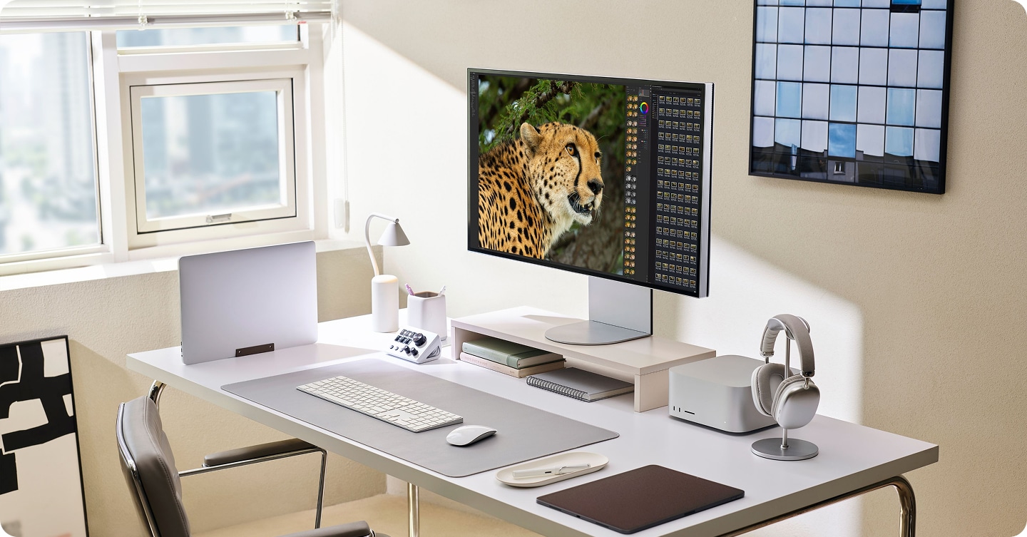 LG Monitore Beispielbild