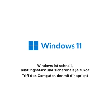windows 11
