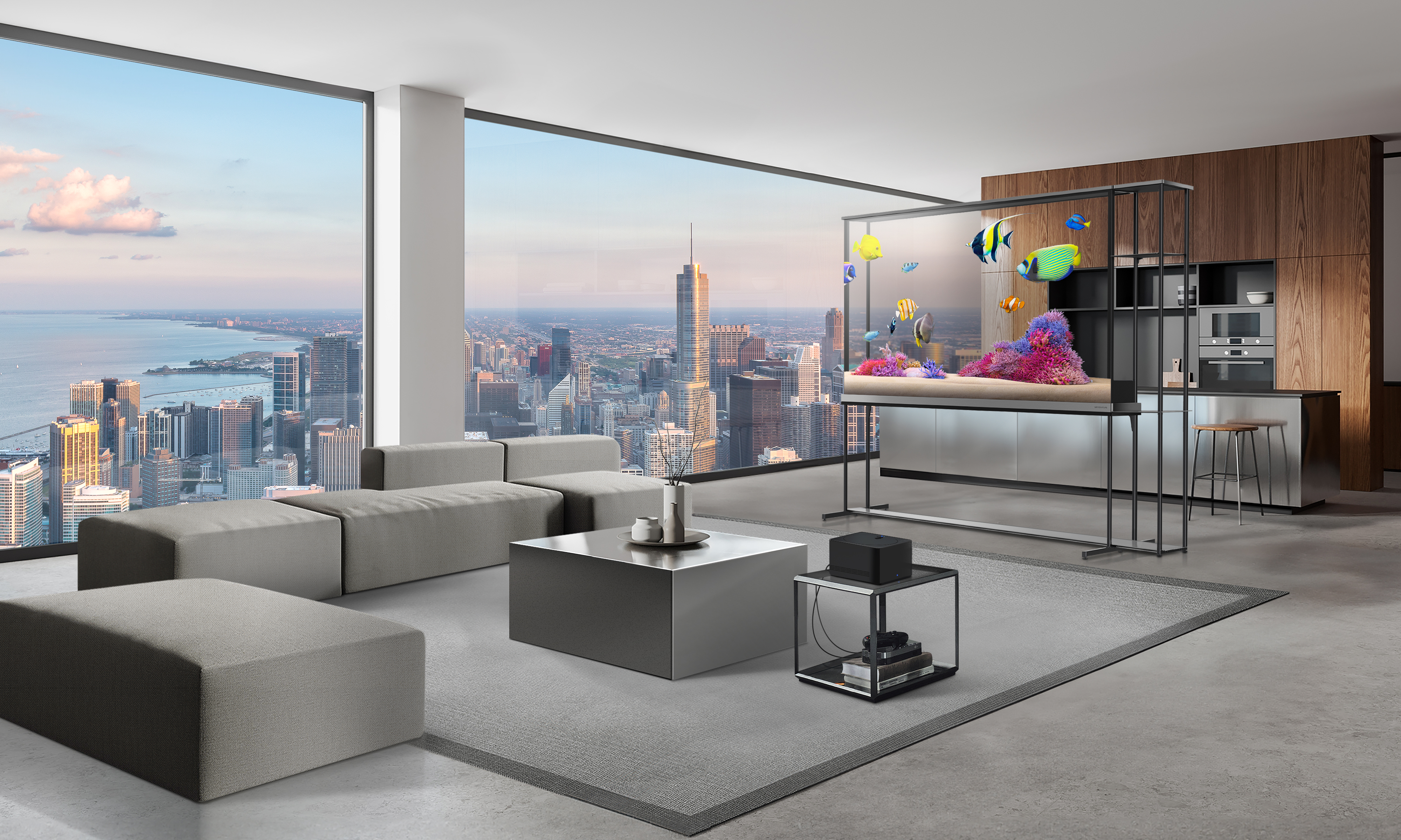LG OLED T