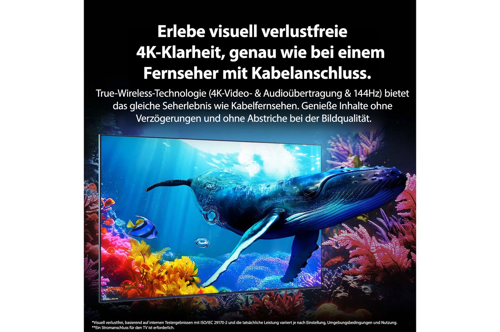 Ein Wal schwimmt durch ein QNED9M, das inmitten der Korallen im Ozean platziert ist, auf den Betrachter zu. Der Text handelt davon, wie beeindruckend Details in visuell verlustfreier 4K-Qualität sind.