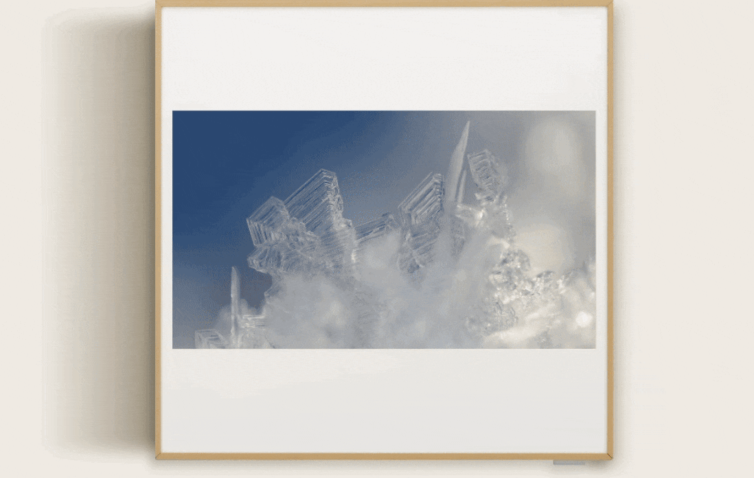 Titelbildschirm_Natur