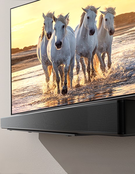 Ein Fernseher und eine Soundbar, die auf einem Regal stehen und auf deren Bildschirm ein weißes Pferd auf einem blauen Strand zu sehen ist.