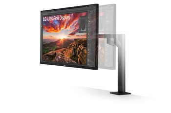31,5 Zoll UHD 4K Ergo IPS Monitor mit USB-C - 32UN880K-B.AEU | LG