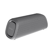 LG XBOOM Go DXG5Q Bluetooth Speaker, DXG5QGR