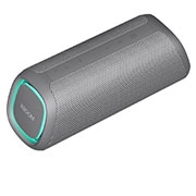 LG XBOOM Go DXG7Q Bluetooth Speaker, DXG7QGR