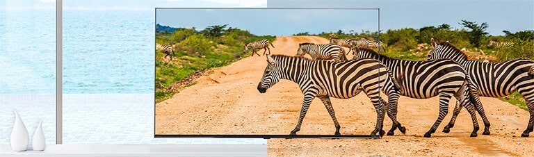 Der Rahmen des Fernsehers ist so schmal, dass Bildschirm und Realität ineinander übergehen. Die Zebras auf dem Bildschirm wirken lebensecht.