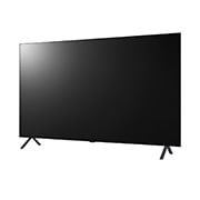 LG 4K UHD OLED Hotel Smart TV mit Pro:Centric Hotel Management Lösung, 65AN960H0LD