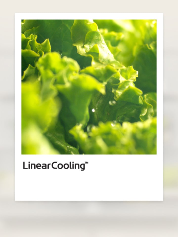 Grüner Salat mit Wassertropfen, rechts im Bild, beworben mit ±0,5°C LinearCooling Technologie.