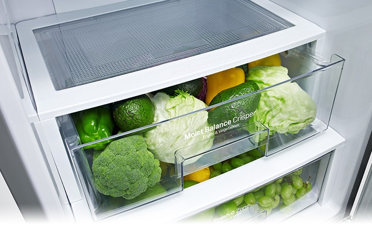 LG Kühl-Gefrierkombination mit höchster Energieeffizienzklasse, Fresh O Zone und Easy Open Handle, GBB530NSCFE