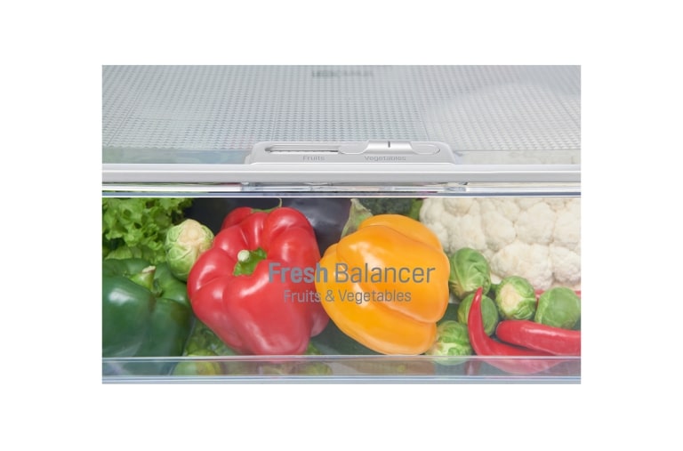 LG 343L Kühl-Gefrierkombination mit Total No Frost | Easy Open Handle, GBB60NSYFE